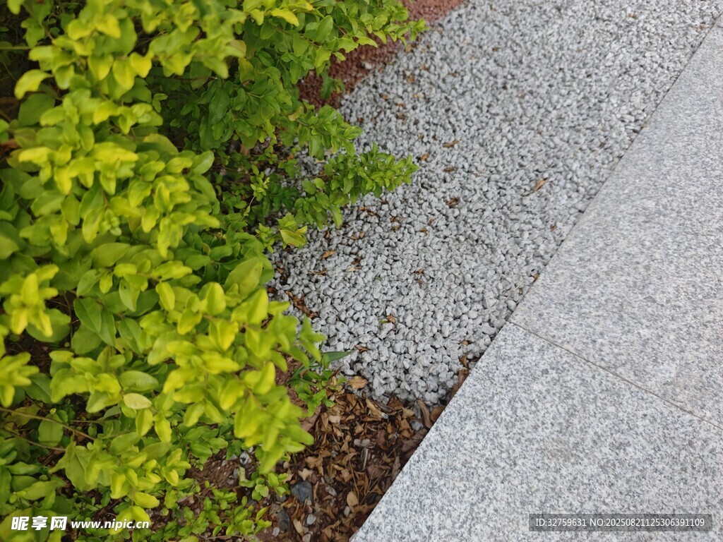 路边绿植与碎石景观