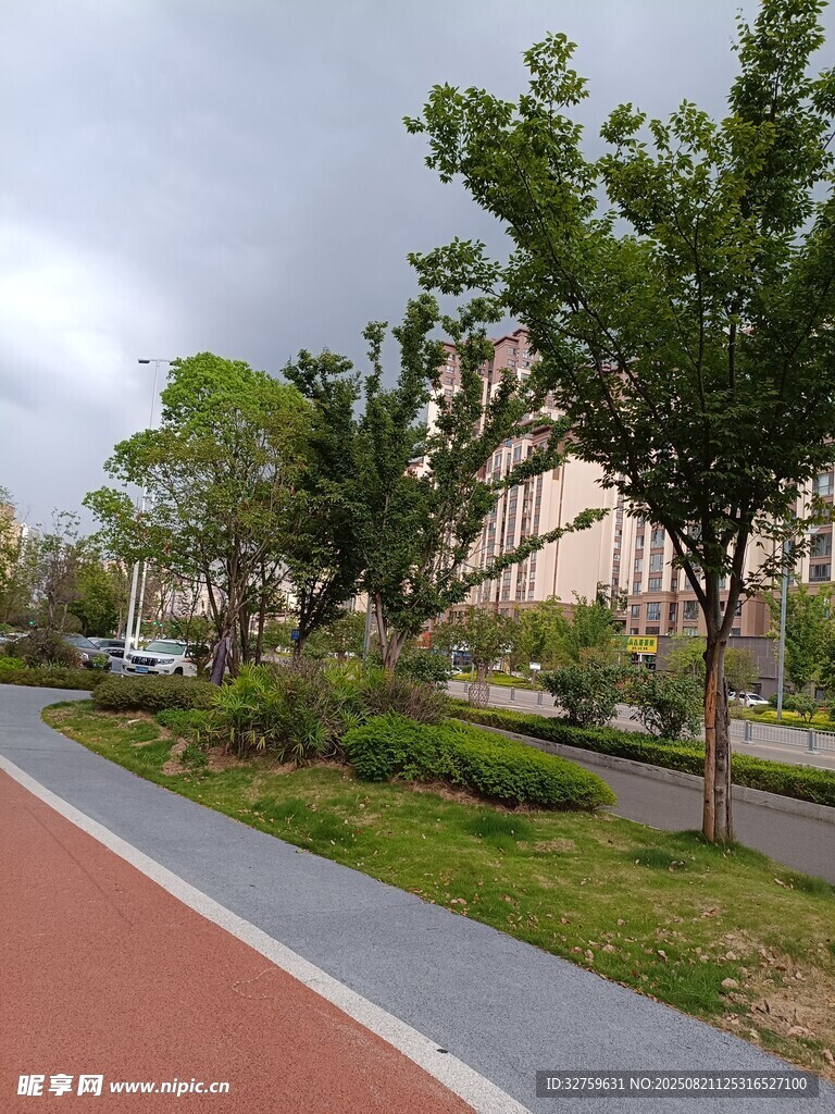 城市林荫步道景观
