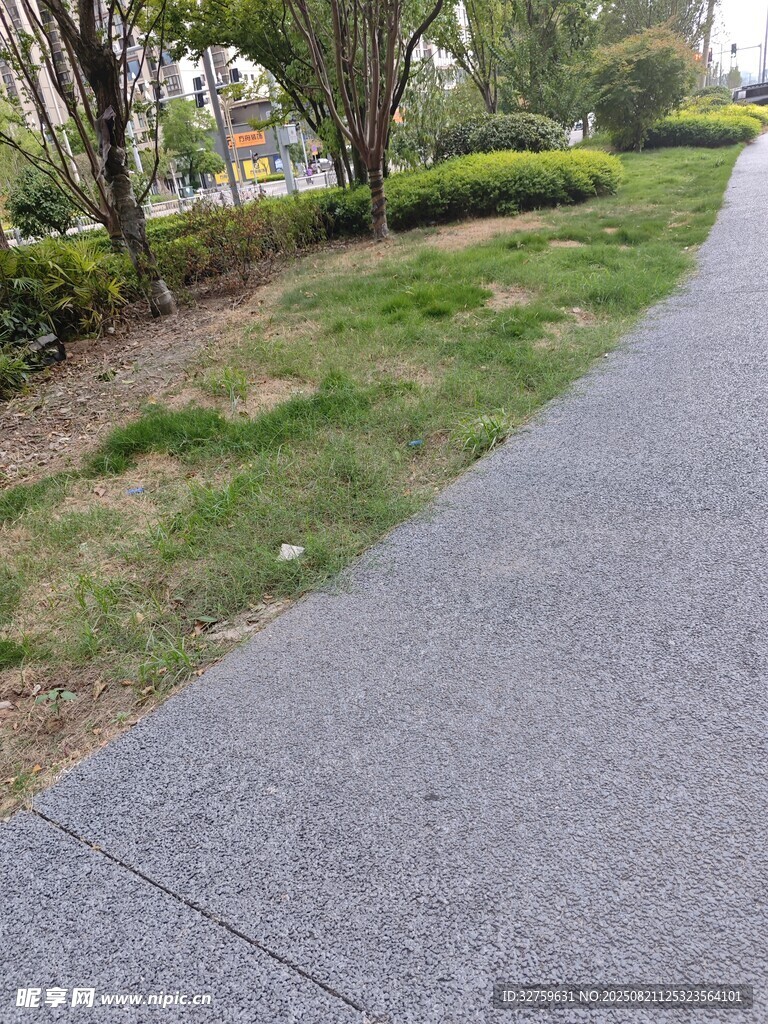 户外幽静的林荫步道