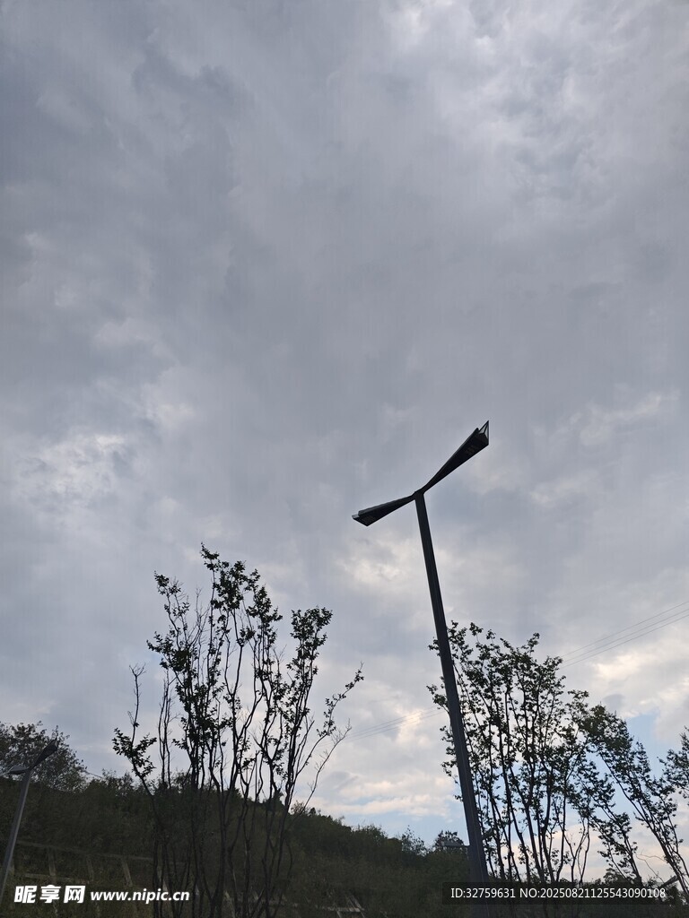 阴天中的路灯与稀疏树木