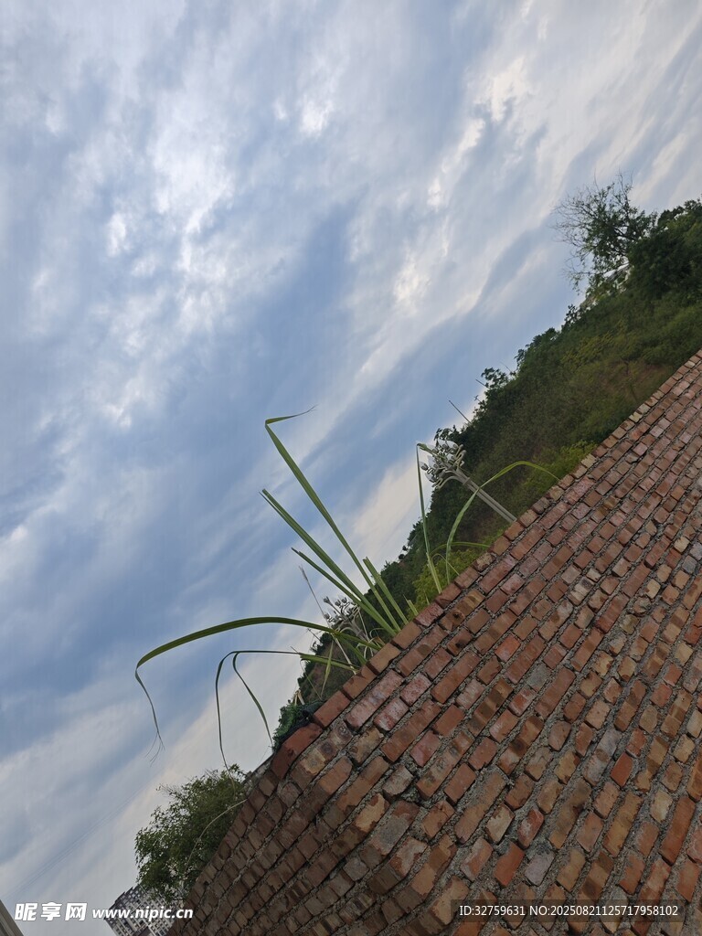 砖墙上方的天空与绿植