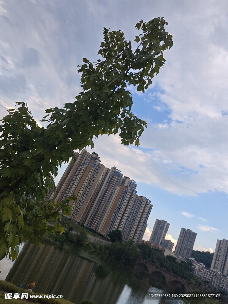 城市河畔绿树与高楼景观