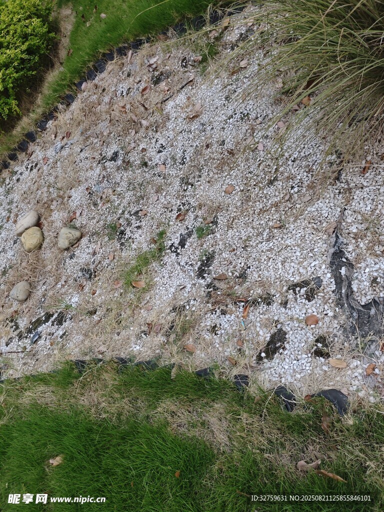 山坡碎石与草地景观