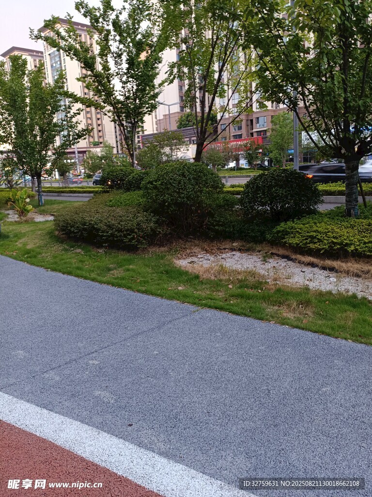 城市中的宁静林荫步道