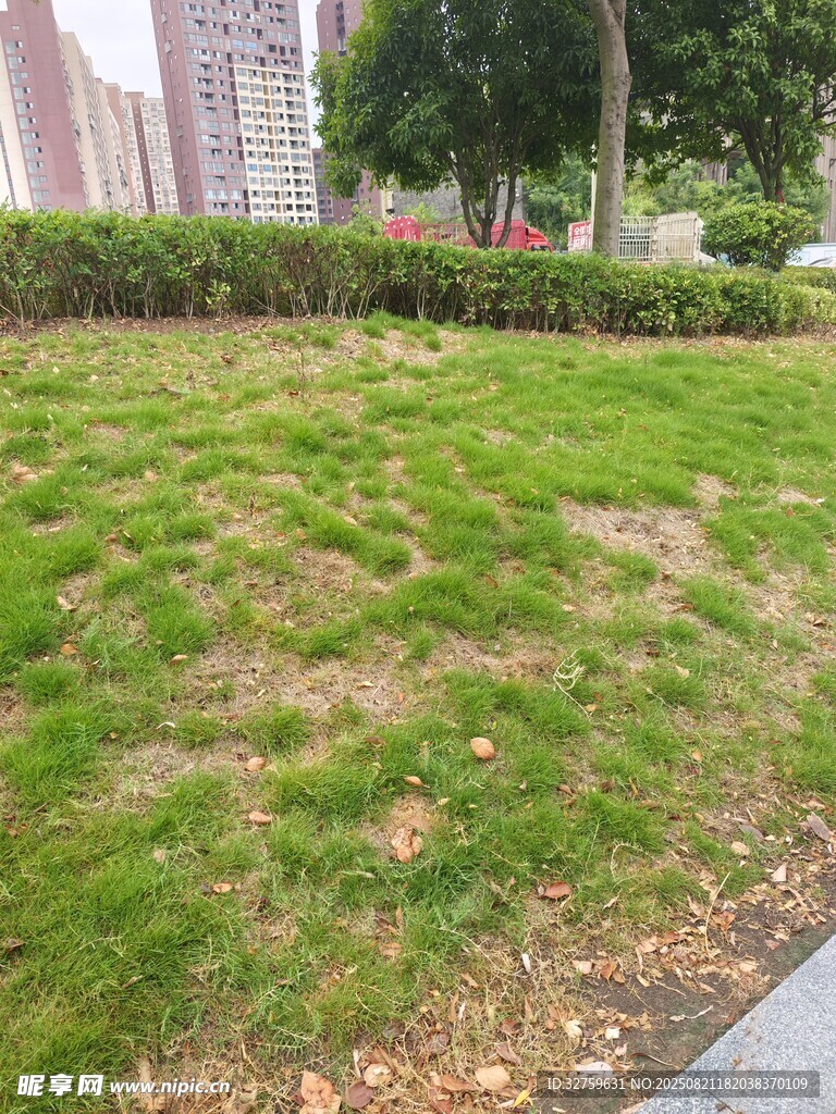 城市中斑驳的绿化草坪