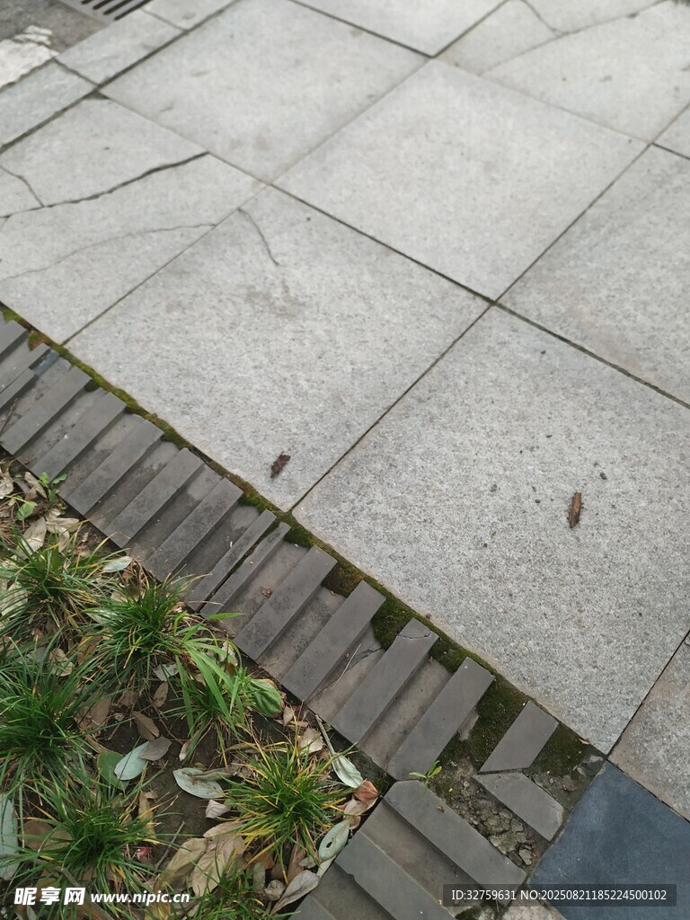 户外石板地面与绿植