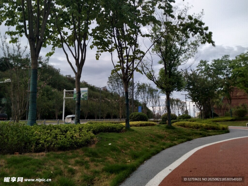 城市公园中的多彩步道景观