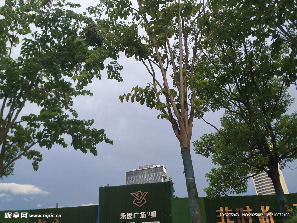 北外校园绿树环绕景象