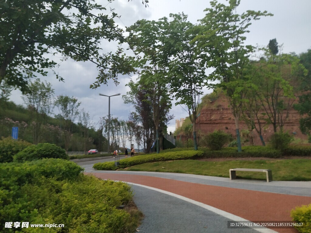 城市公园中的优美道路景观