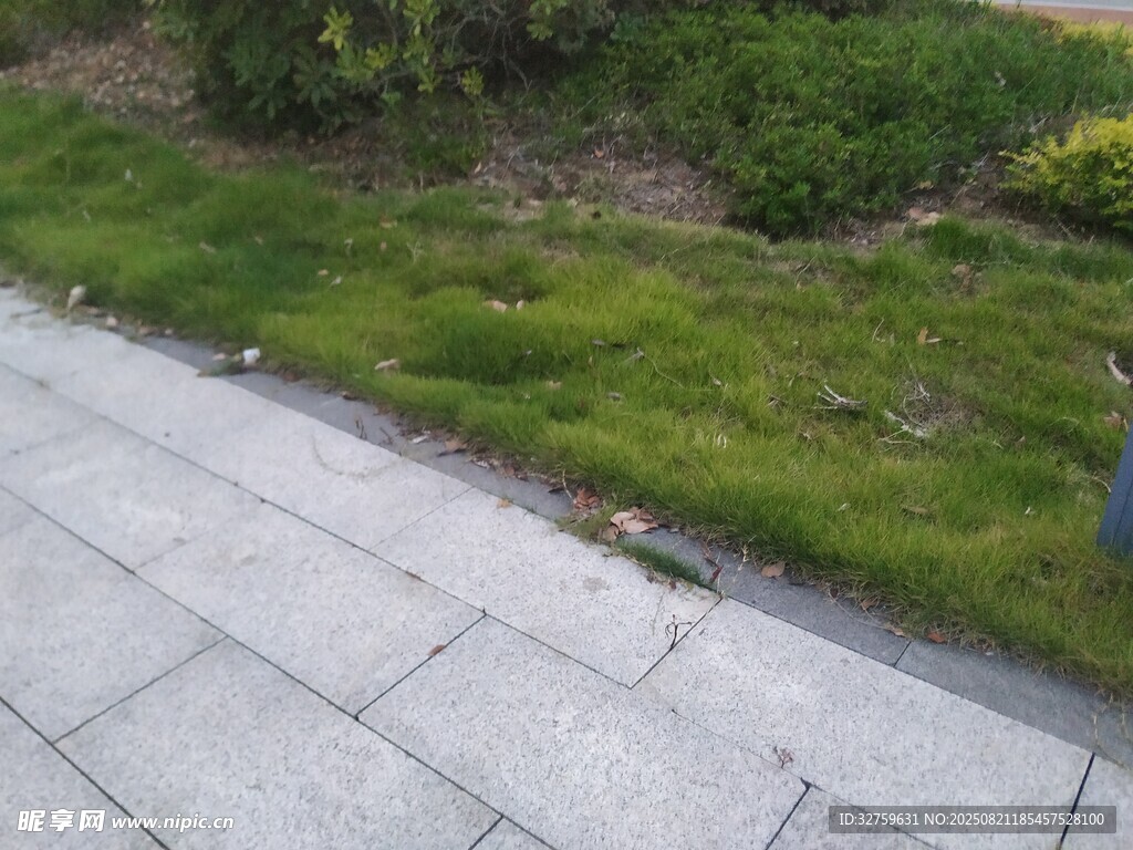 路边草地与石板路景象