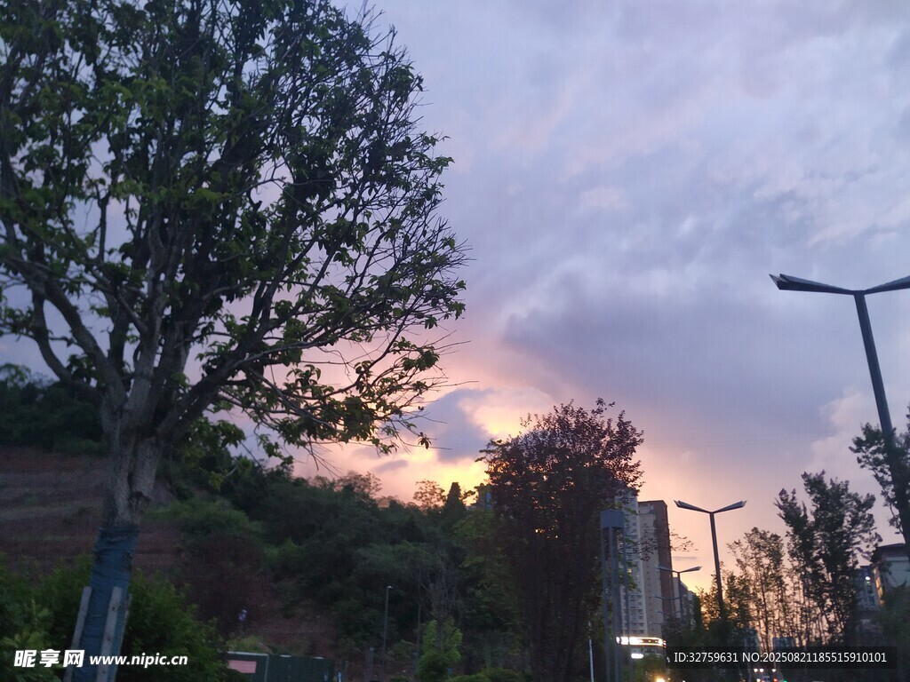 黄昏时城市中的树木与霞光