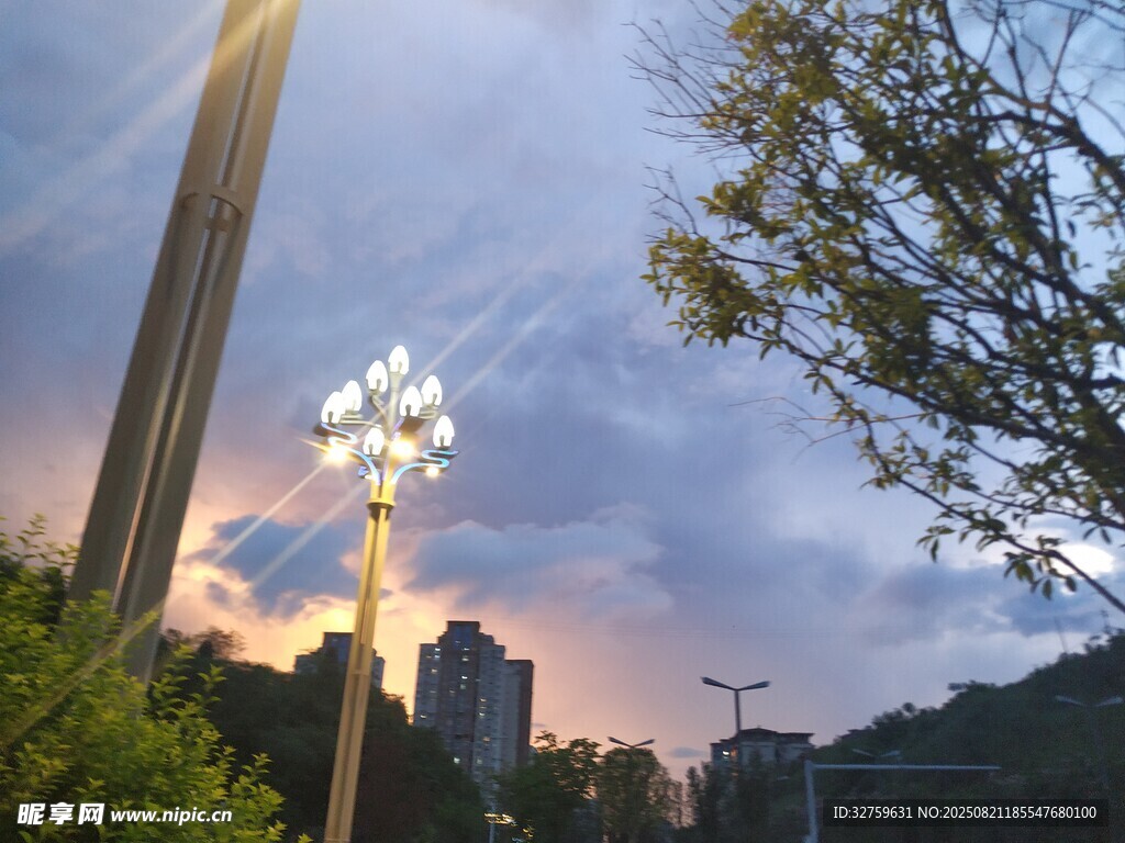 黄昏路灯下的城市景致
