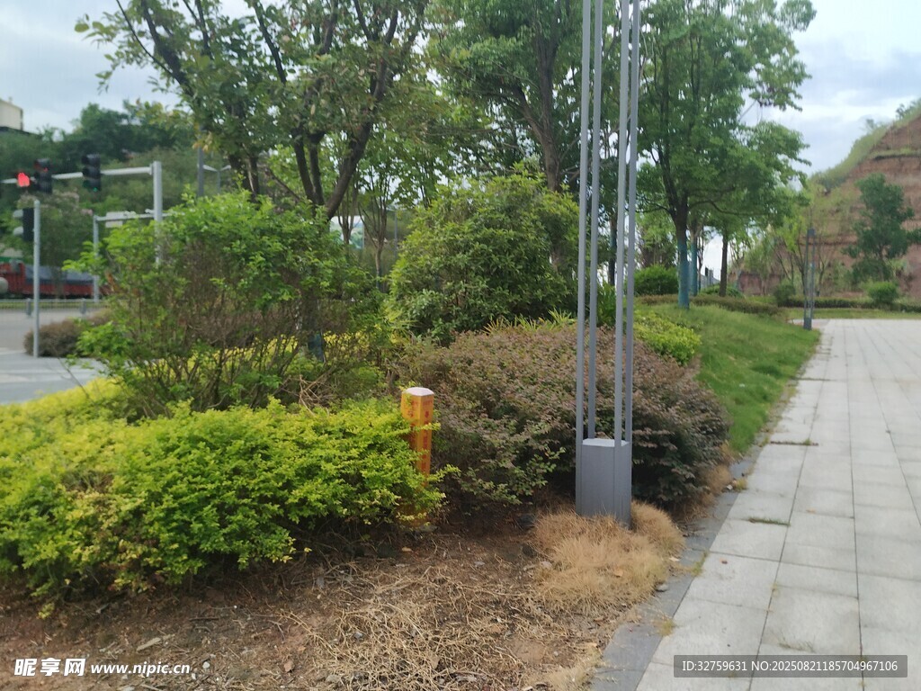 城市街边绿植景观