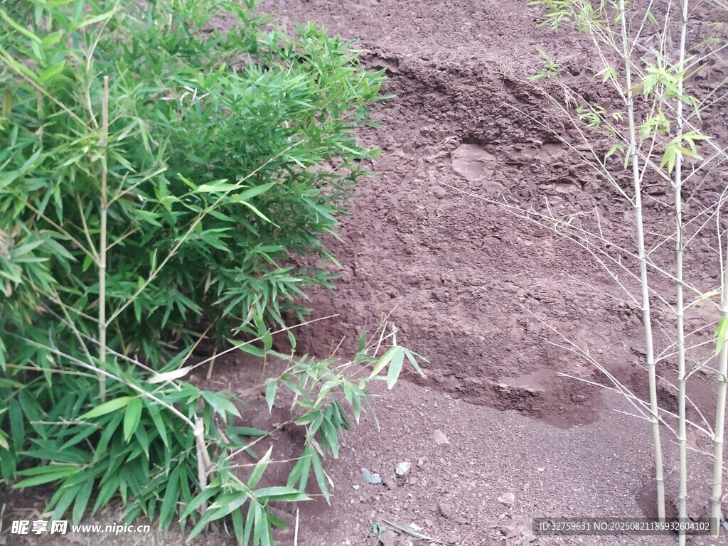 山坡绿植与裸露红土