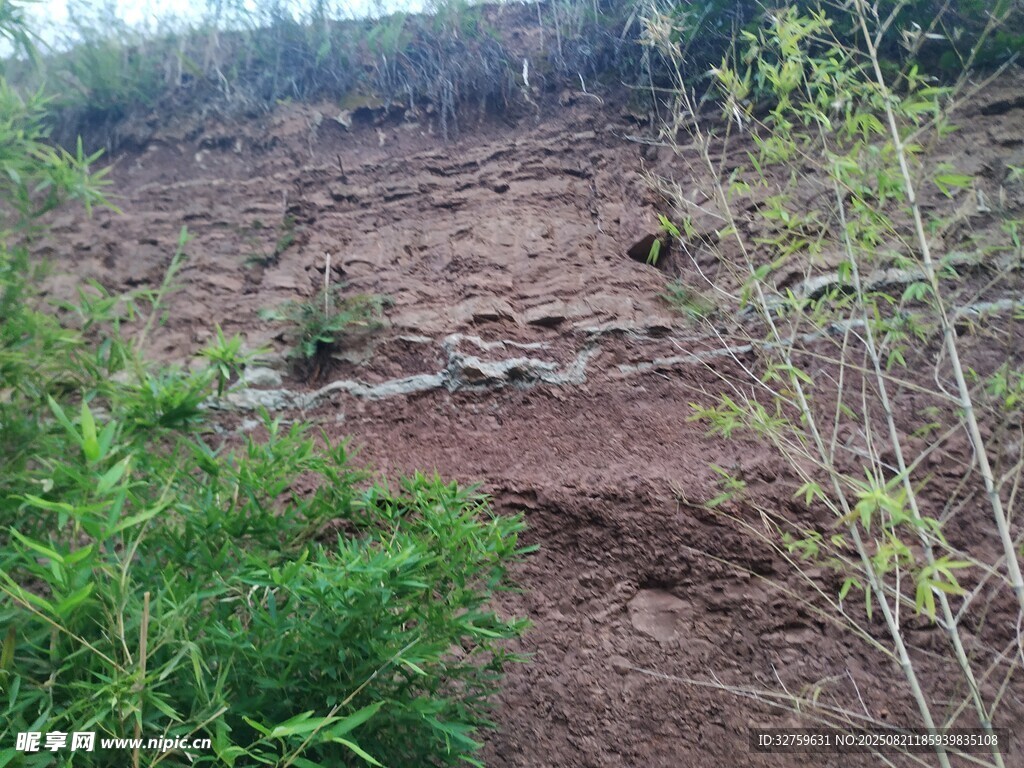 山坡上的植被与裸露泥土