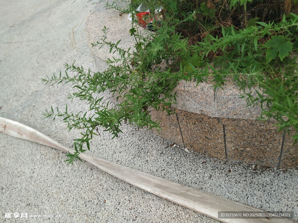路边绿植旁的金属长条