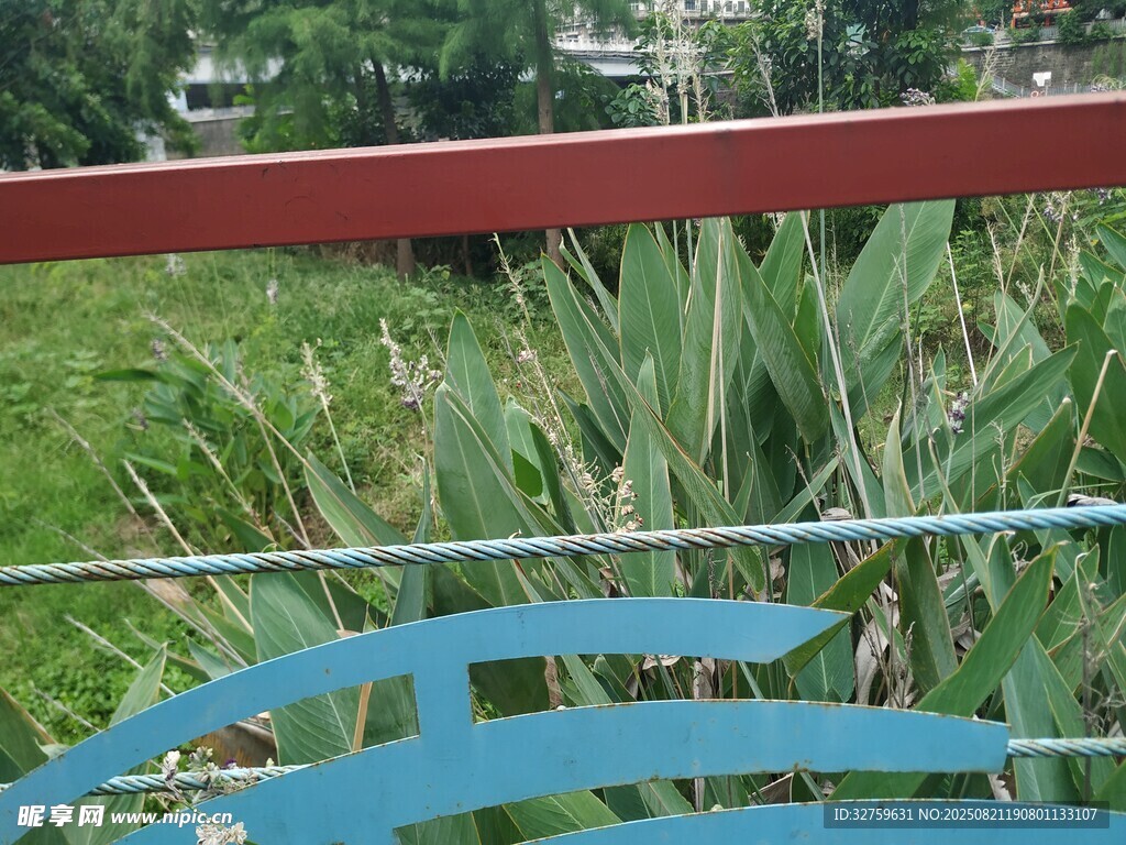户外绿植旁的彩色物件