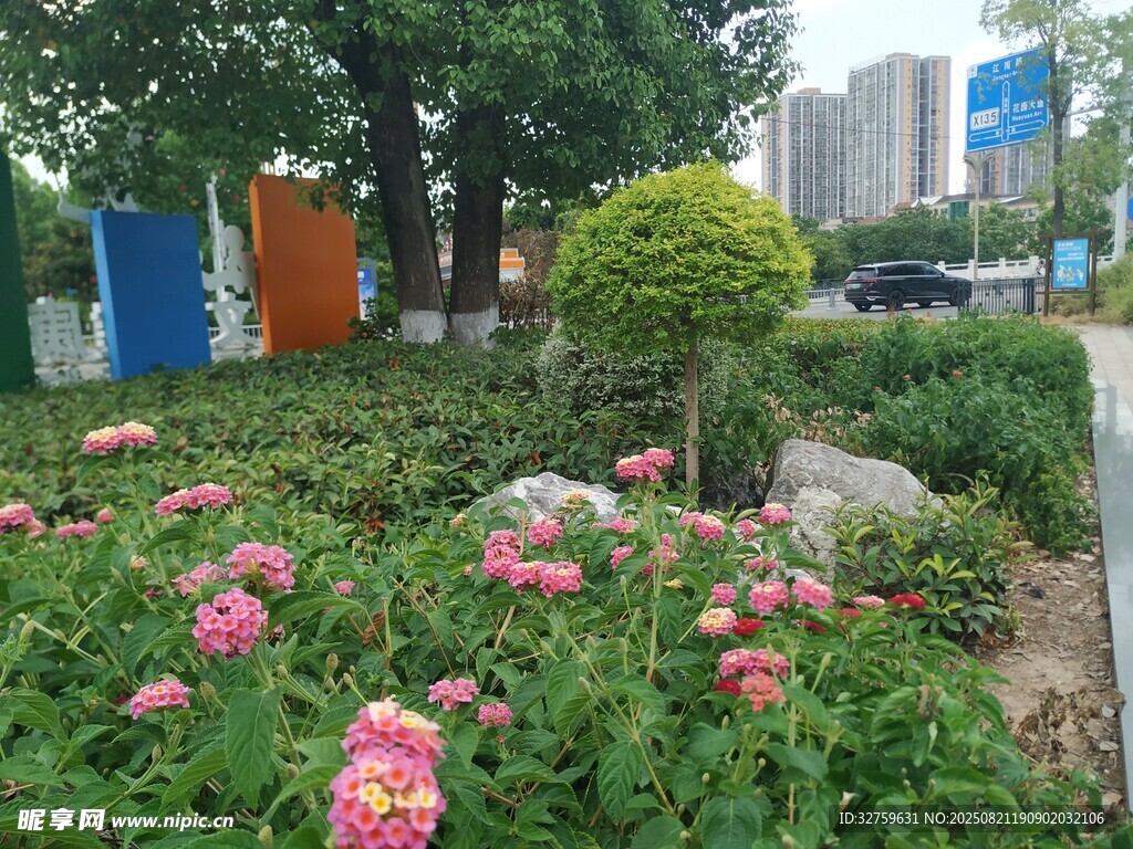 城市街边缤纷花卉景观