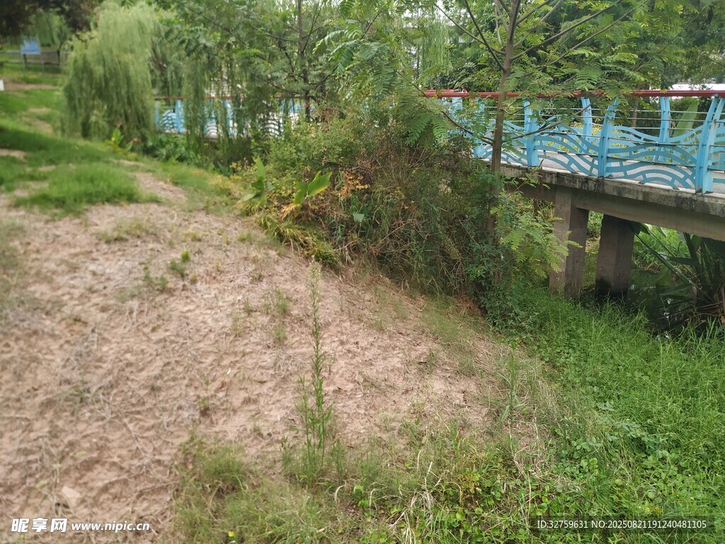郊外河畔的自然景致