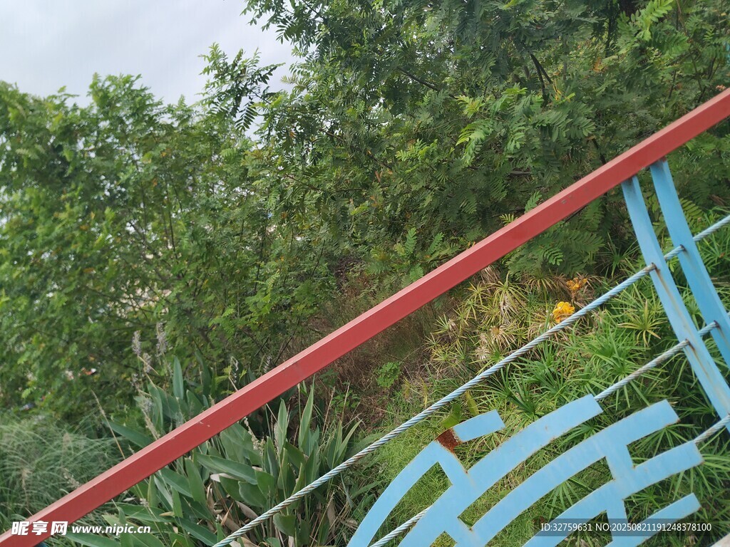 户外绿植旁的彩色栏杆
