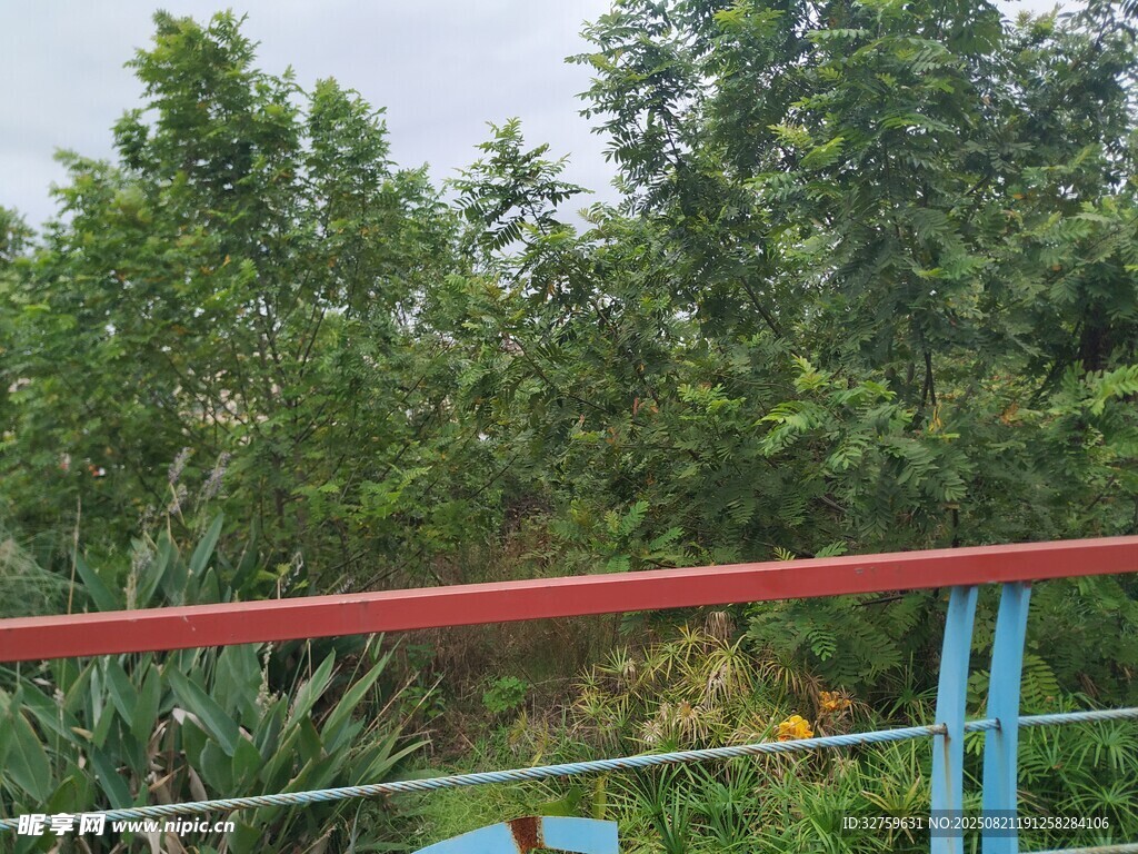 户外绿植旁的彩色栏杆