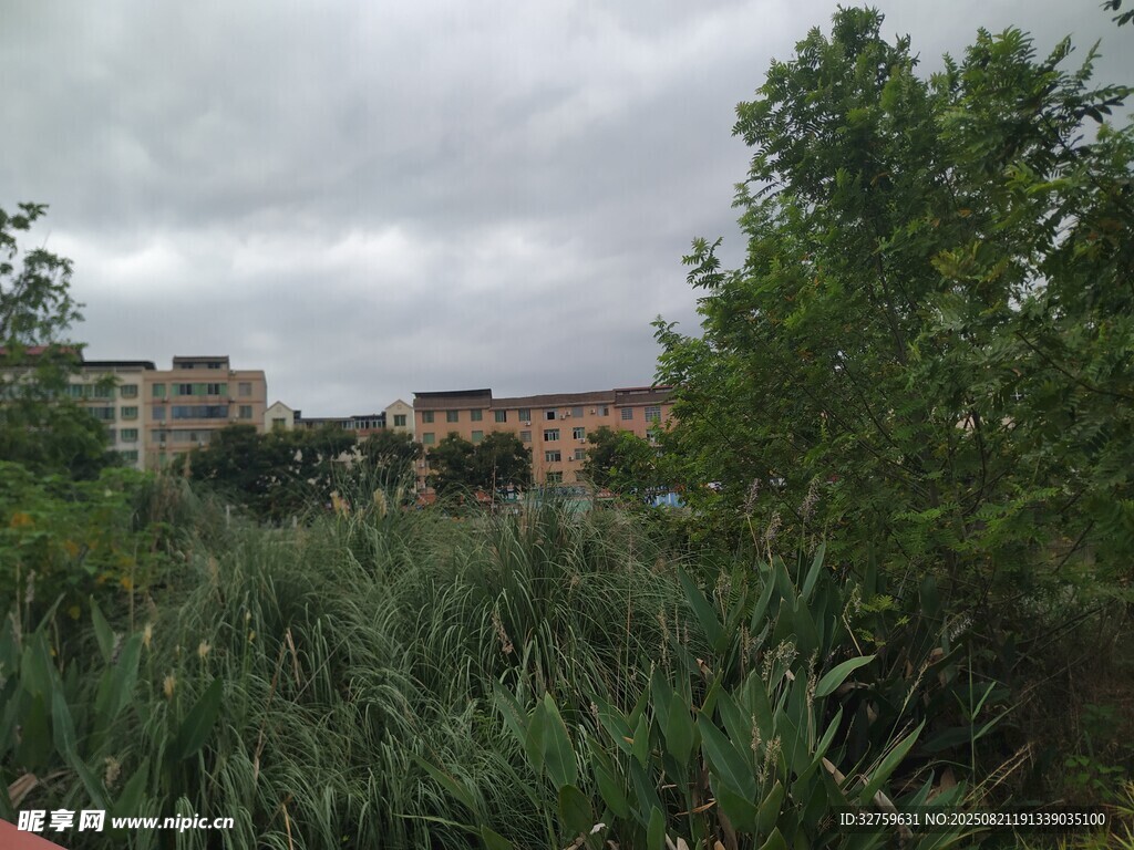 阴天绿植旁的城市建筑