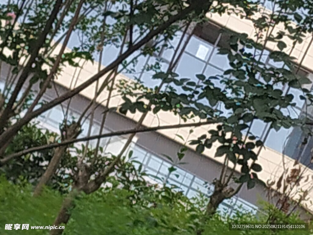 绿植环绕的现代建筑景观