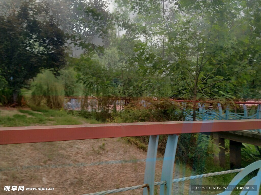 公园中的桥与绿植景观