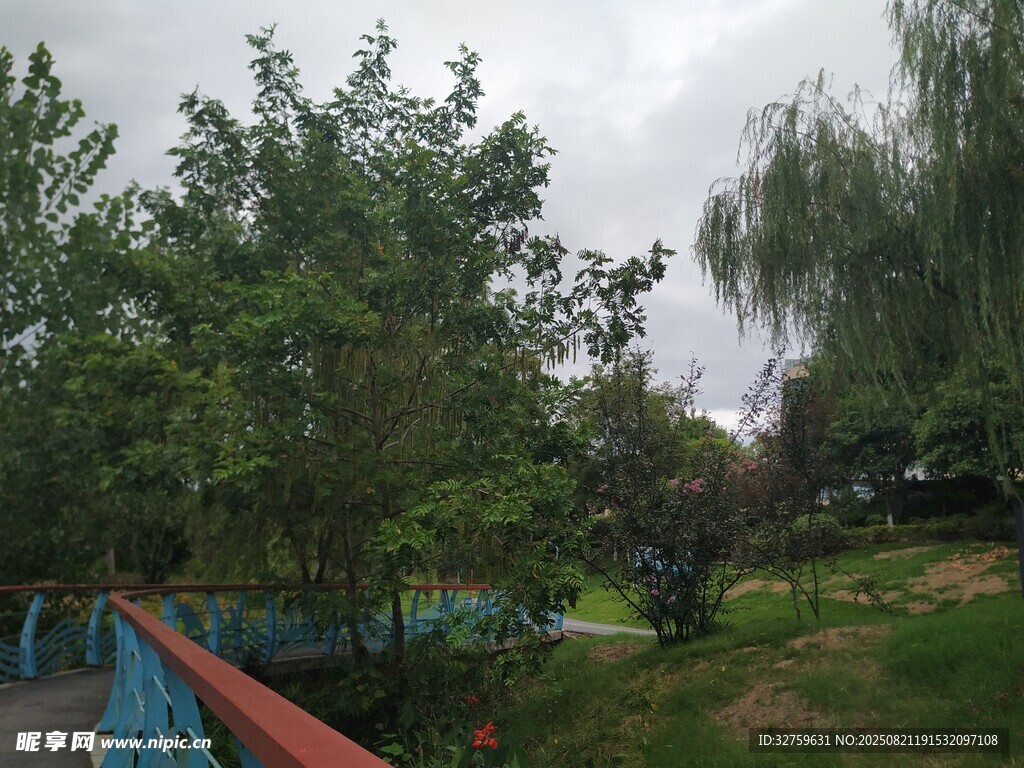 公园绿树成荫景致宜人