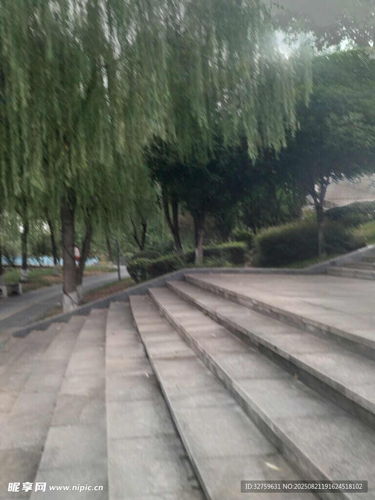 公园石径旁垂柳依依