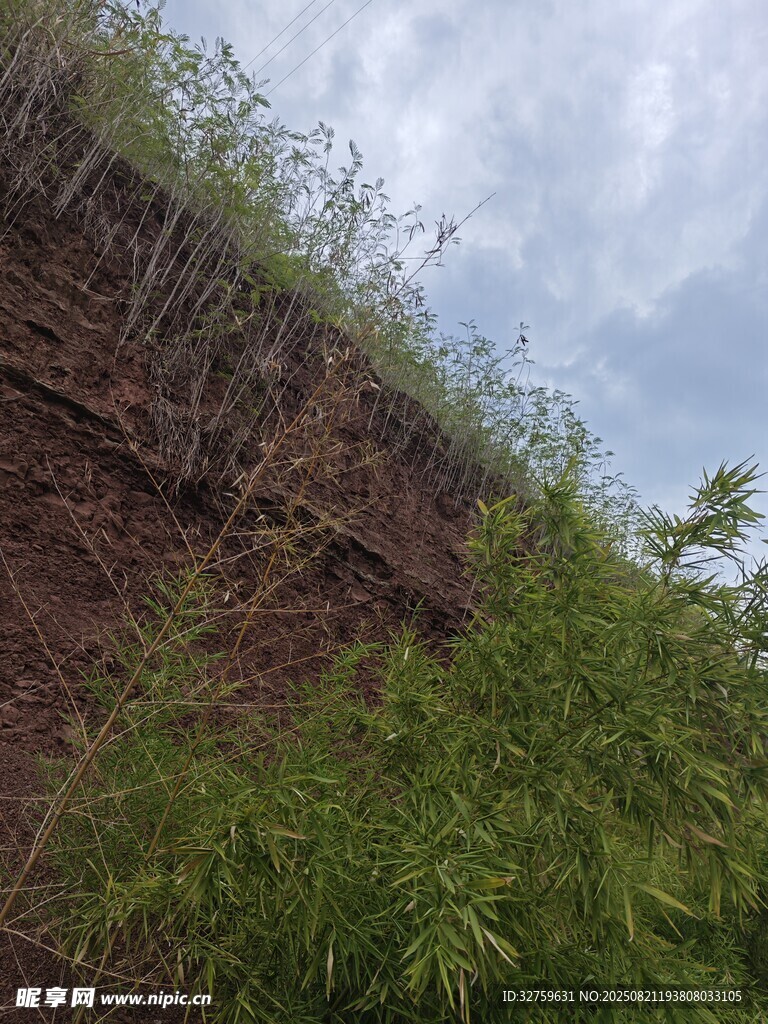 山坡绿植与裸露土层景观