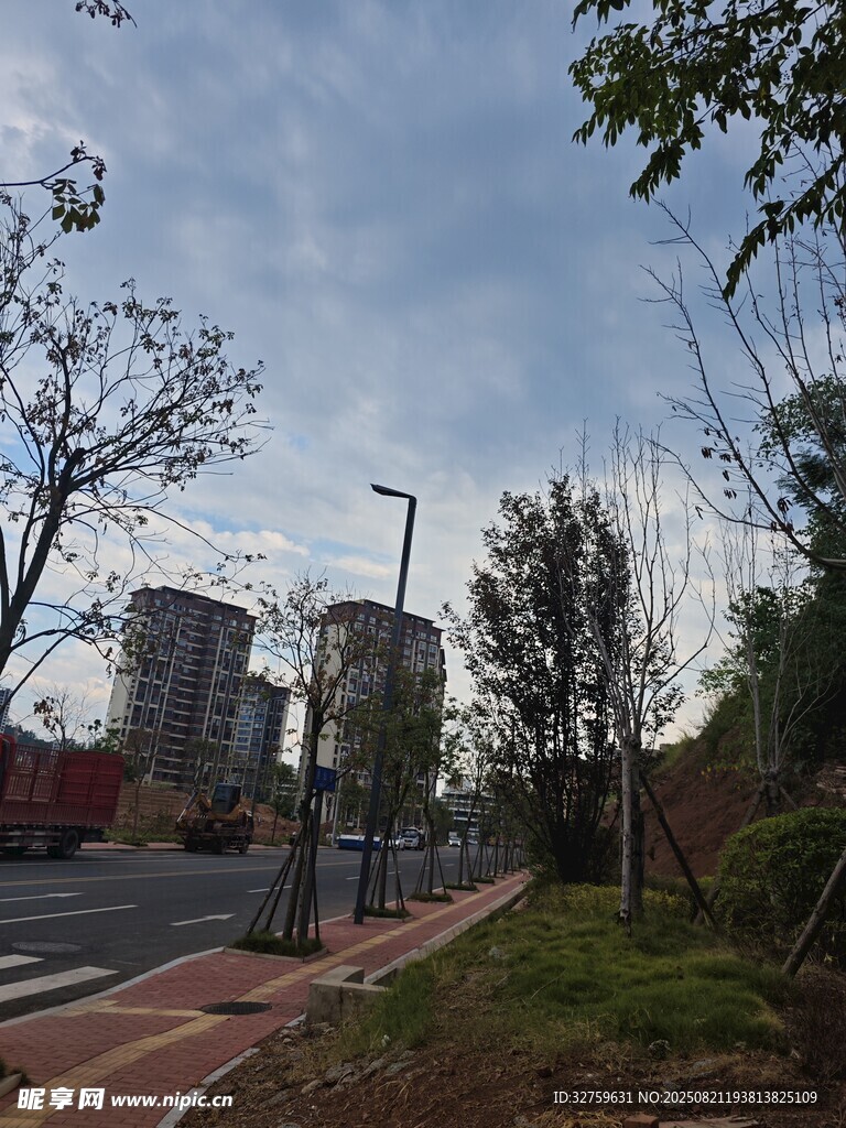 城市路边风景