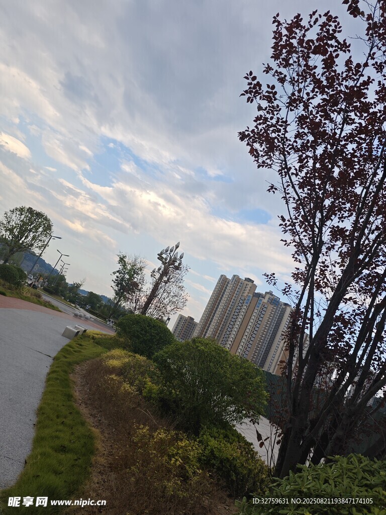 城郊道路旁的自然与建筑景观