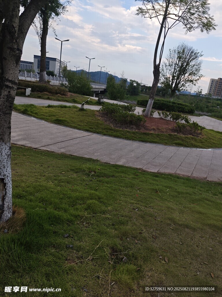 公园小径旁的绿意景致