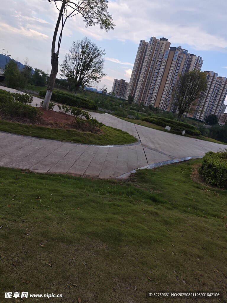 城市中的宁静绿地景观