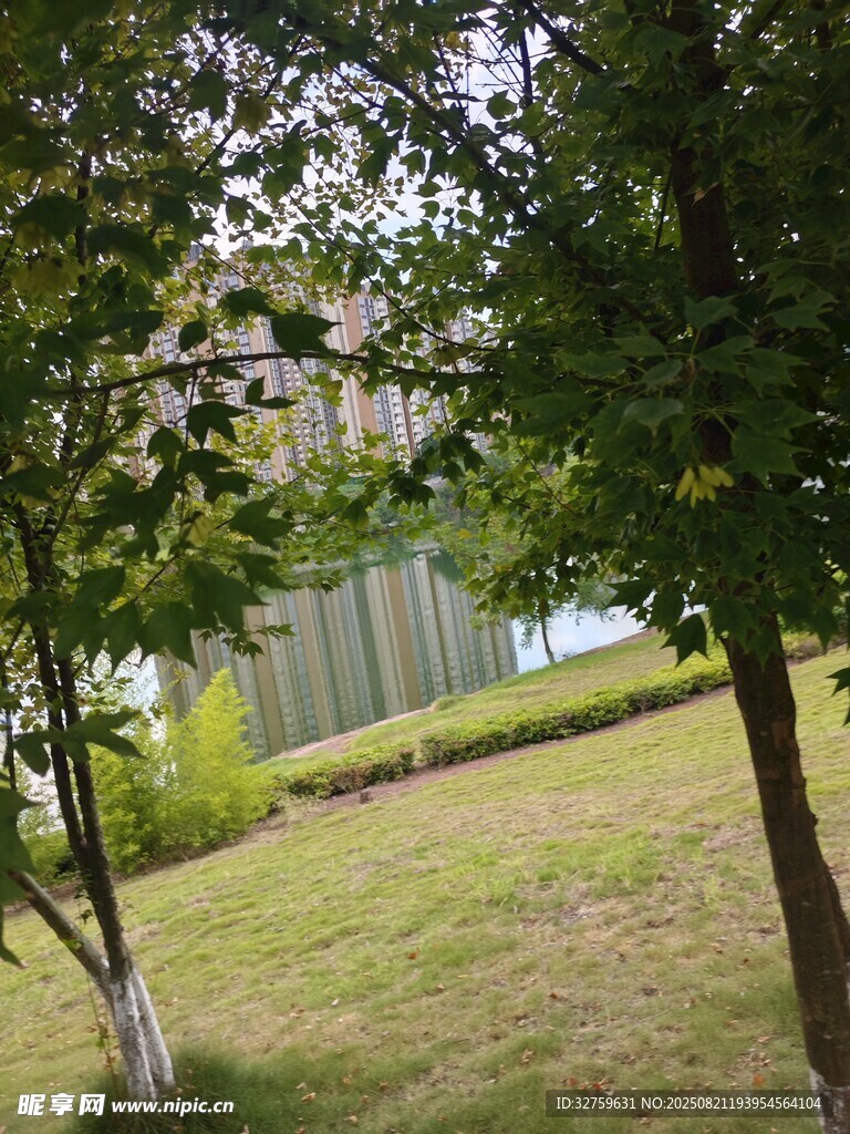 绿意盎然的户外园林景致