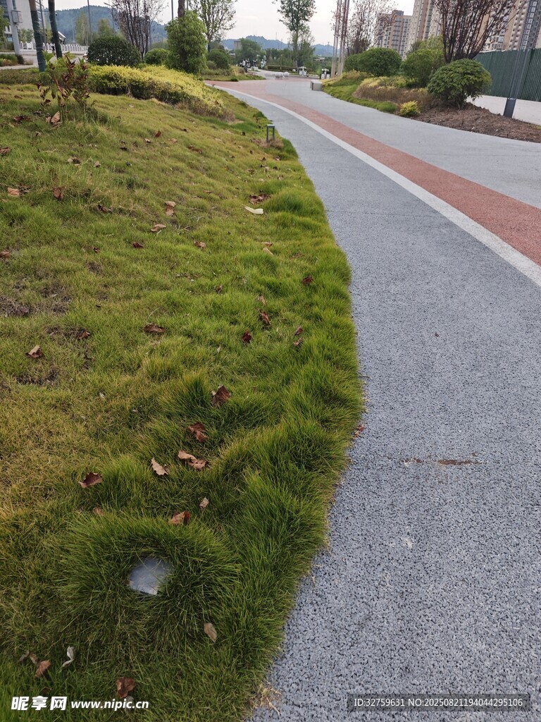 城市道路旁的翠绿草坪