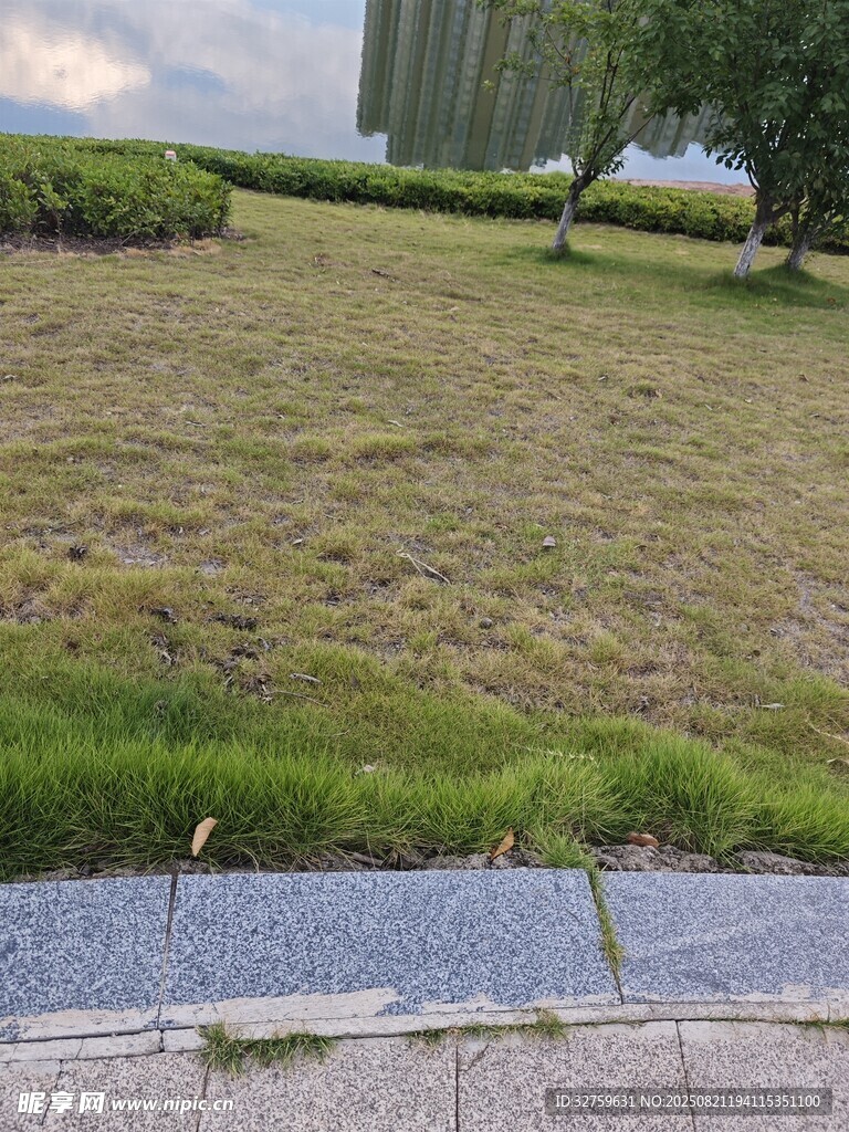 户外草地与碎石景观