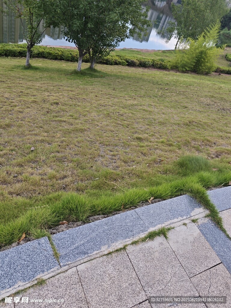 户外草地旁的石板步道