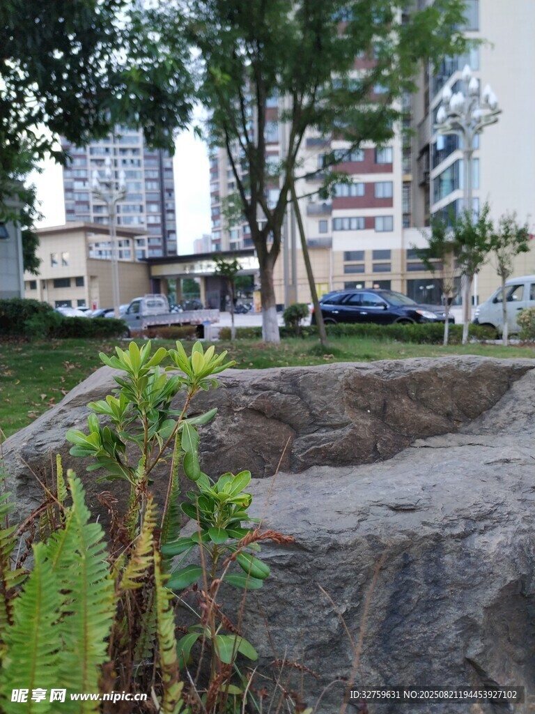 城市中的自然景观角落