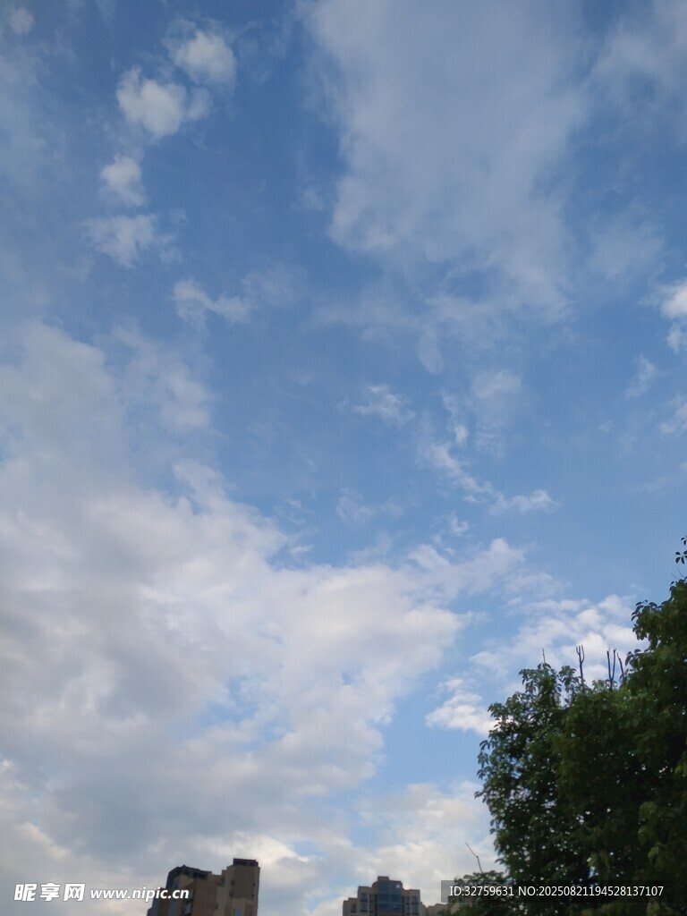 蓝天白云下的绿树与建筑