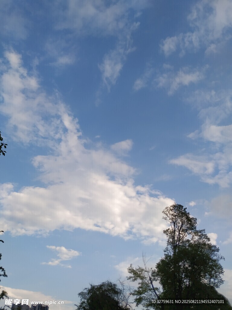 蓝天绿树间的云朵美景