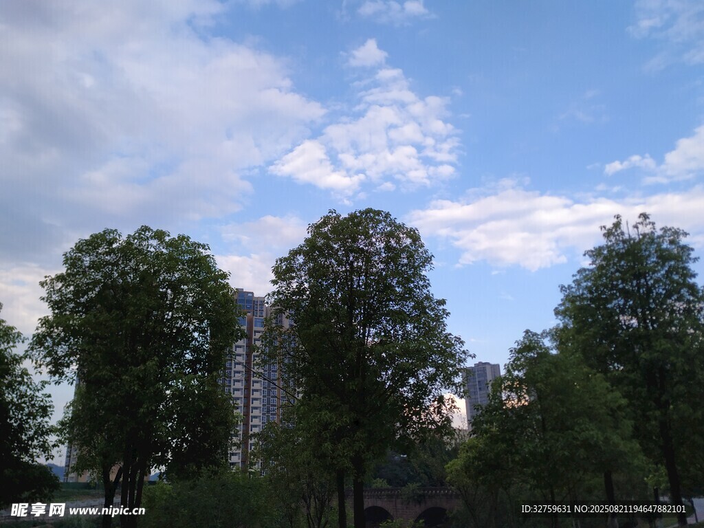 蓝天绿树间的城市景致