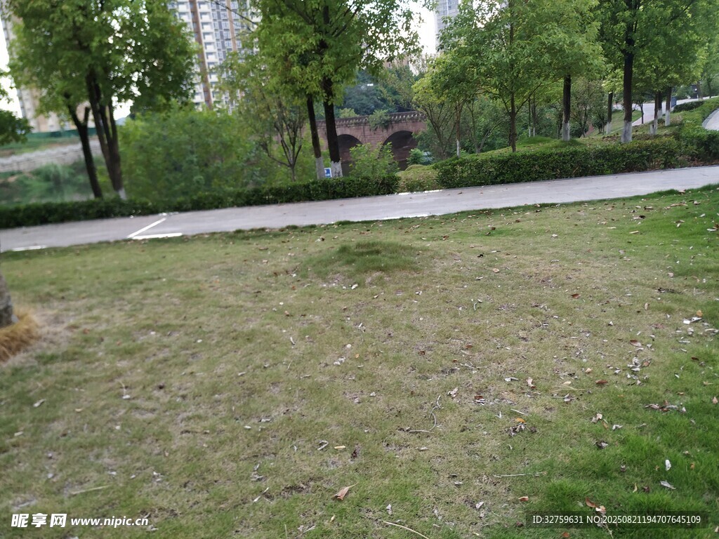 城市中的一片开阔草地