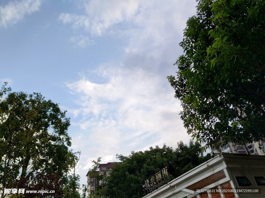 蓝天白云下的绿树与建筑