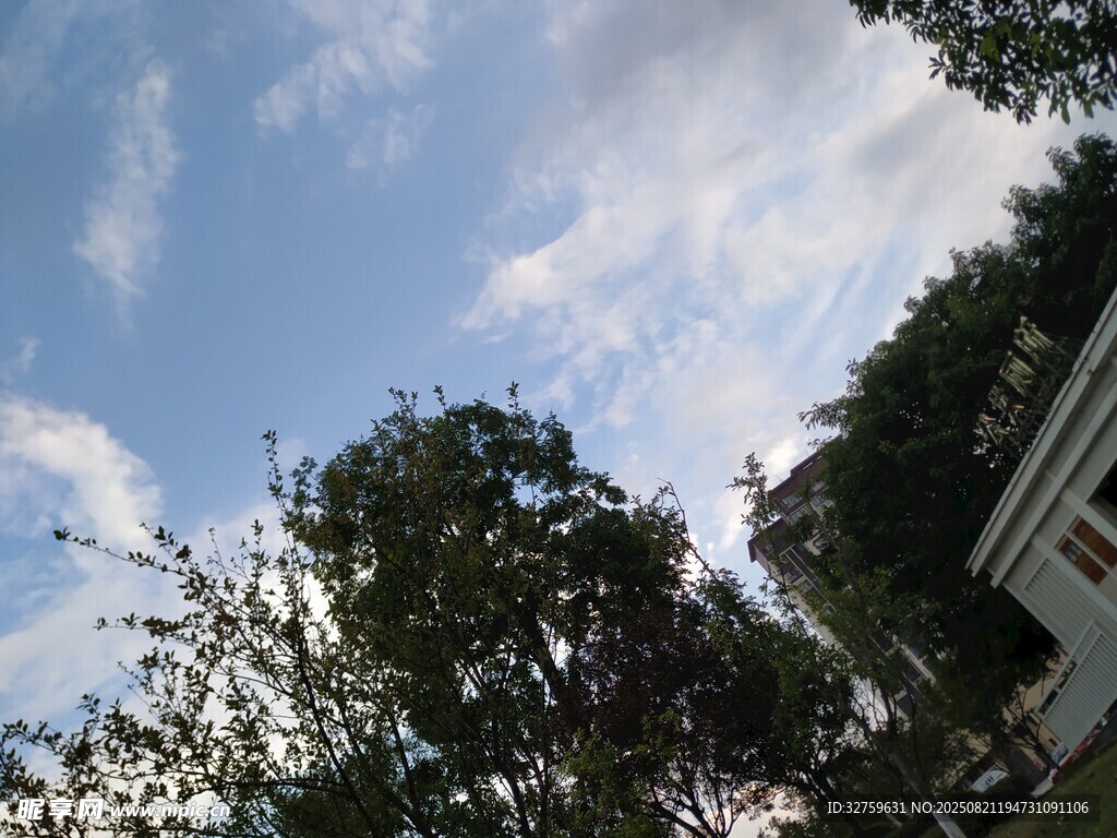 蓝天绿树旁的房屋一角