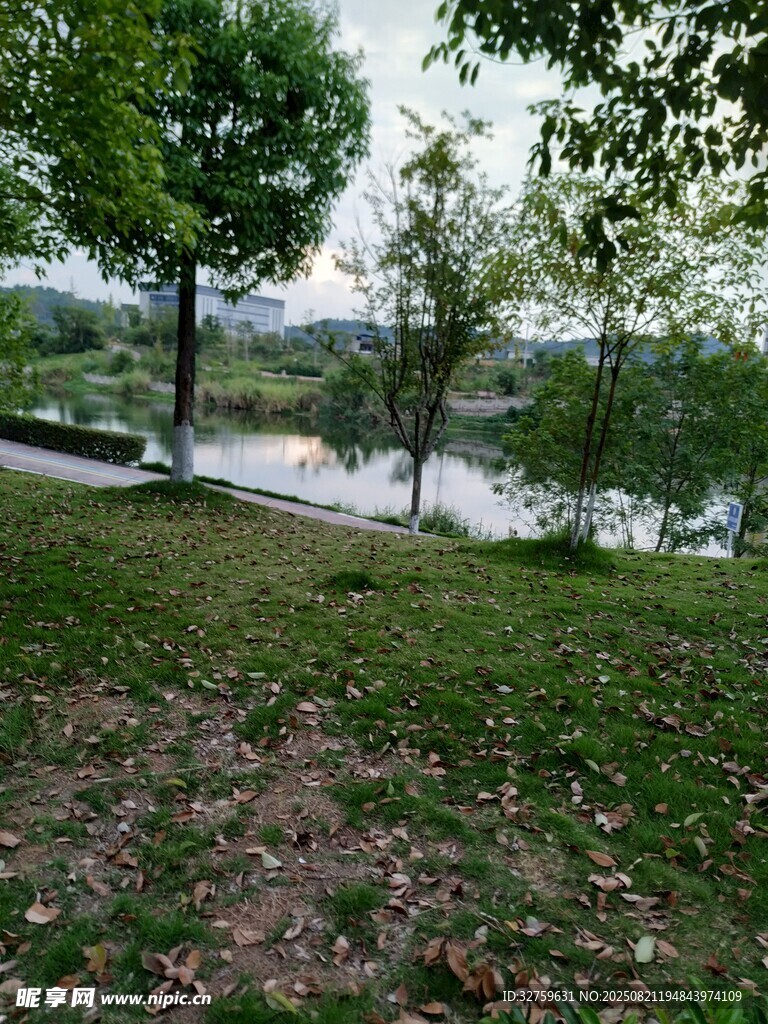 河畔绿地自然风光美景