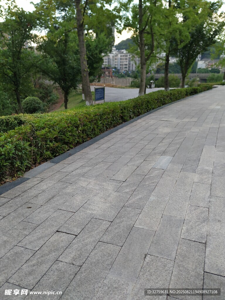整洁的城市林荫步道