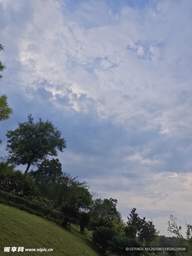 蓝天白云下的绿意景致