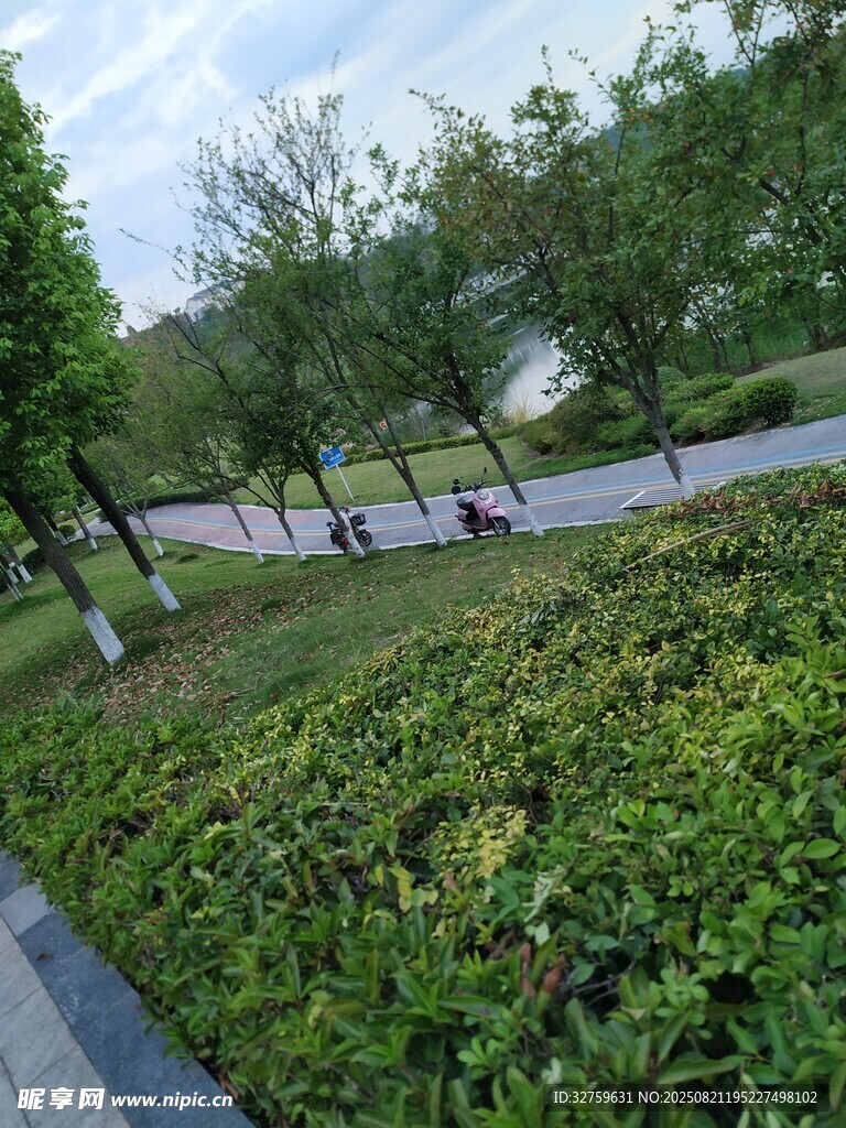 城市绿意盎然的公园景致